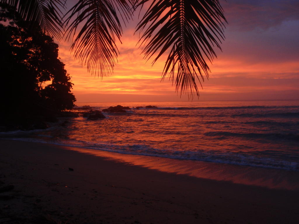 Pachamama Tropical Garden Lodge มัลปัยส์ ภายนอก รูปภาพ