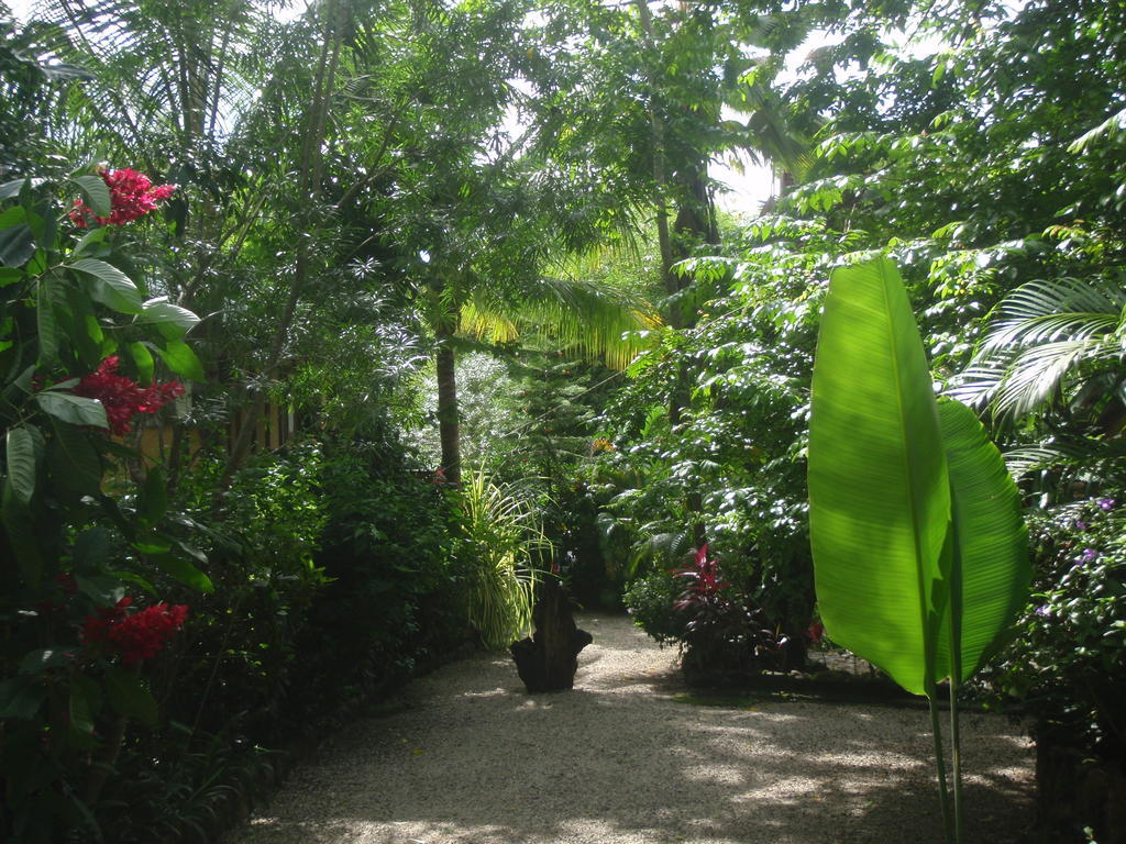 Pachamama Tropical Garden Lodge มัลปัยส์ ภายนอก รูปภาพ