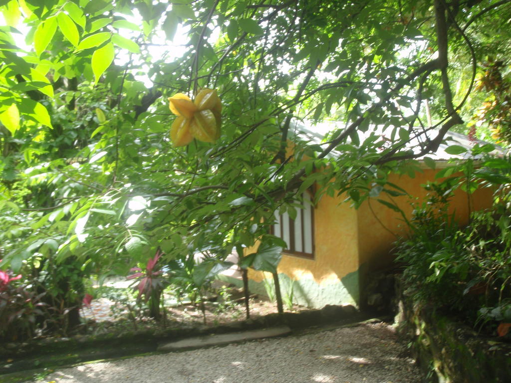 Pachamama Tropical Garden Lodge มัลปัยส์ ห้อง รูปภาพ
