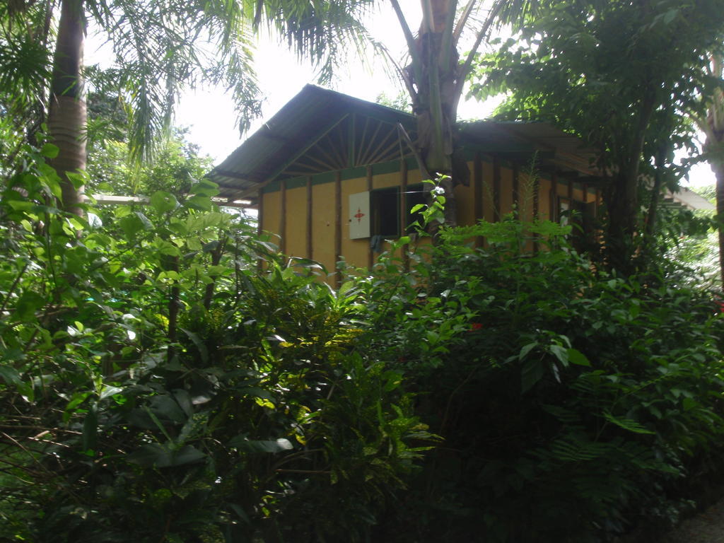 Pachamama Tropical Garden Lodge มัลปัยส์ ห้อง รูปภาพ
