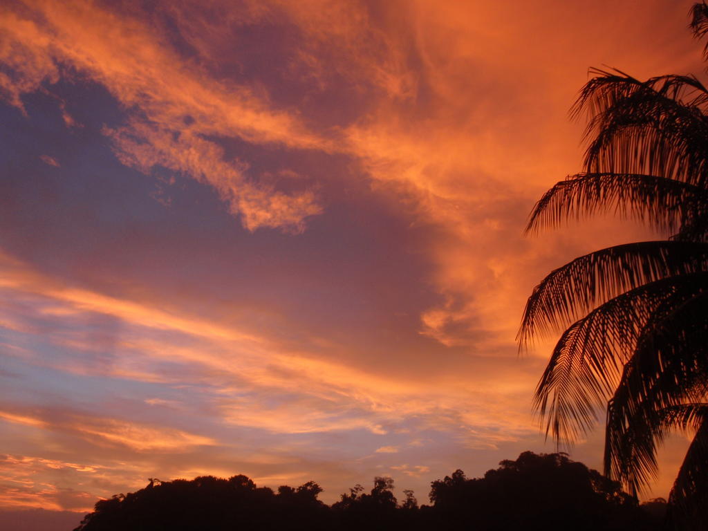 Pachamama Tropical Garden Lodge มัลปัยส์ ภายนอก รูปภาพ