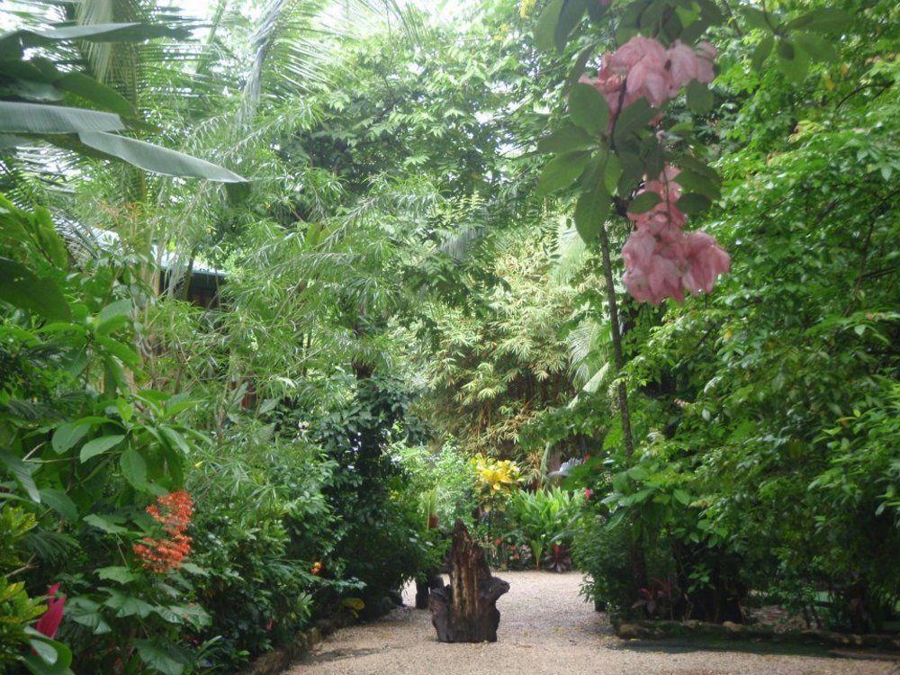 Pachamama Tropical Garden Lodge มัลปัยส์ ภายนอก รูปภาพ